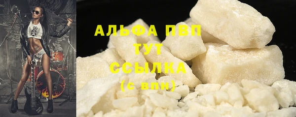 стаф Алексин