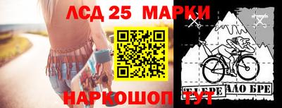 шишки Ефремов