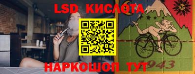 шишки Ефремов