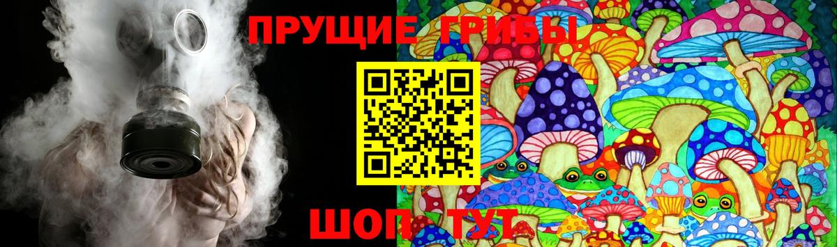 Кондопога  Псилоцибиновые грибы Psilocybine cubensis  где найти   Вход с VPN 