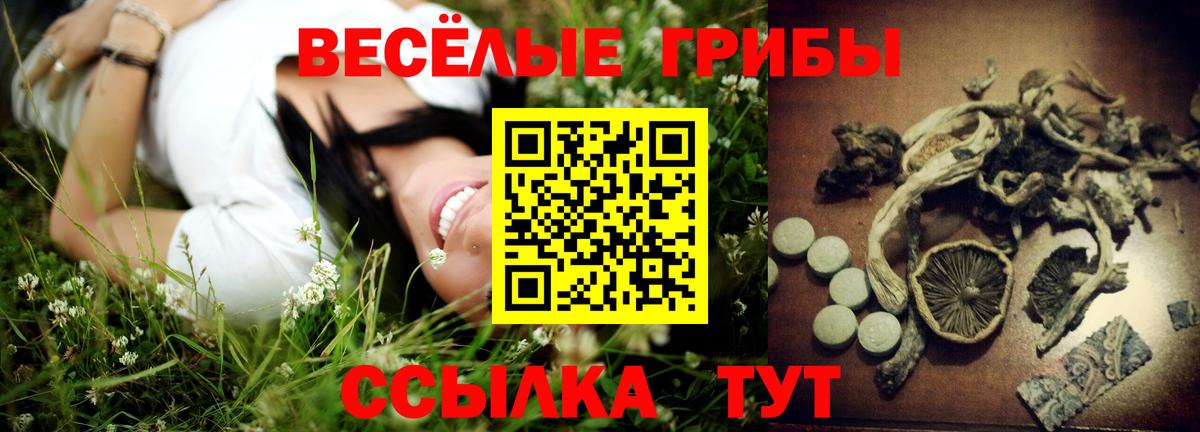Галлюциногенные грибы MAGIC MUSHROOMS Кондопога